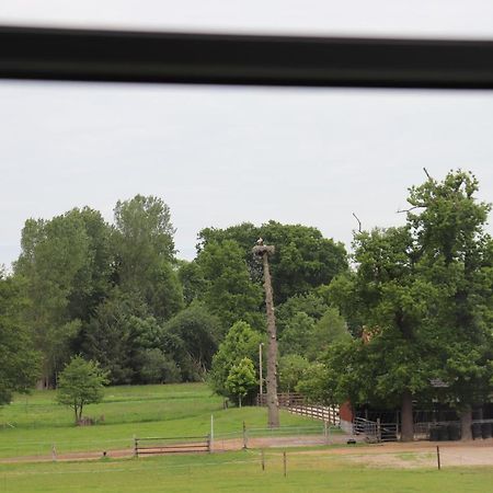 Ferienwohnung Boskop Stade Bagian luar foto